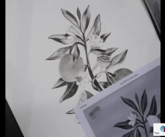 WhatsApp Image 2024-03-05 at 10.20.43 (1)