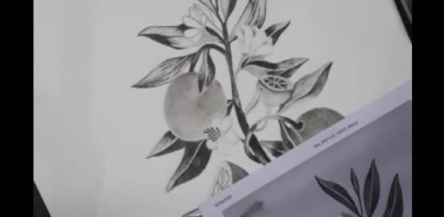 WhatsApp Image 2024-03-05 at 10.20.43 (1)